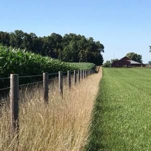 Meet your Posher, Jane